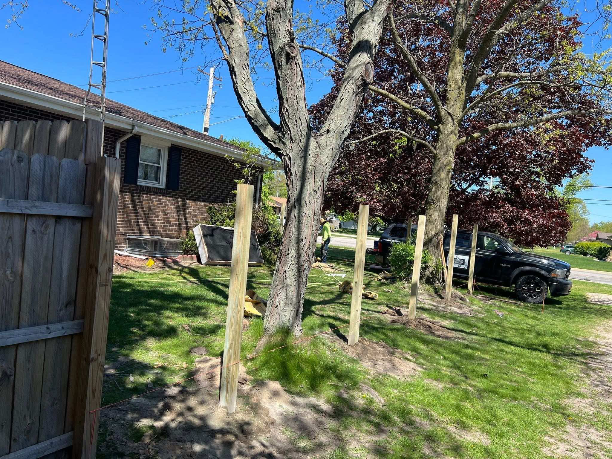 fence